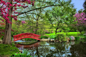 Japanese Garden Red Bridge