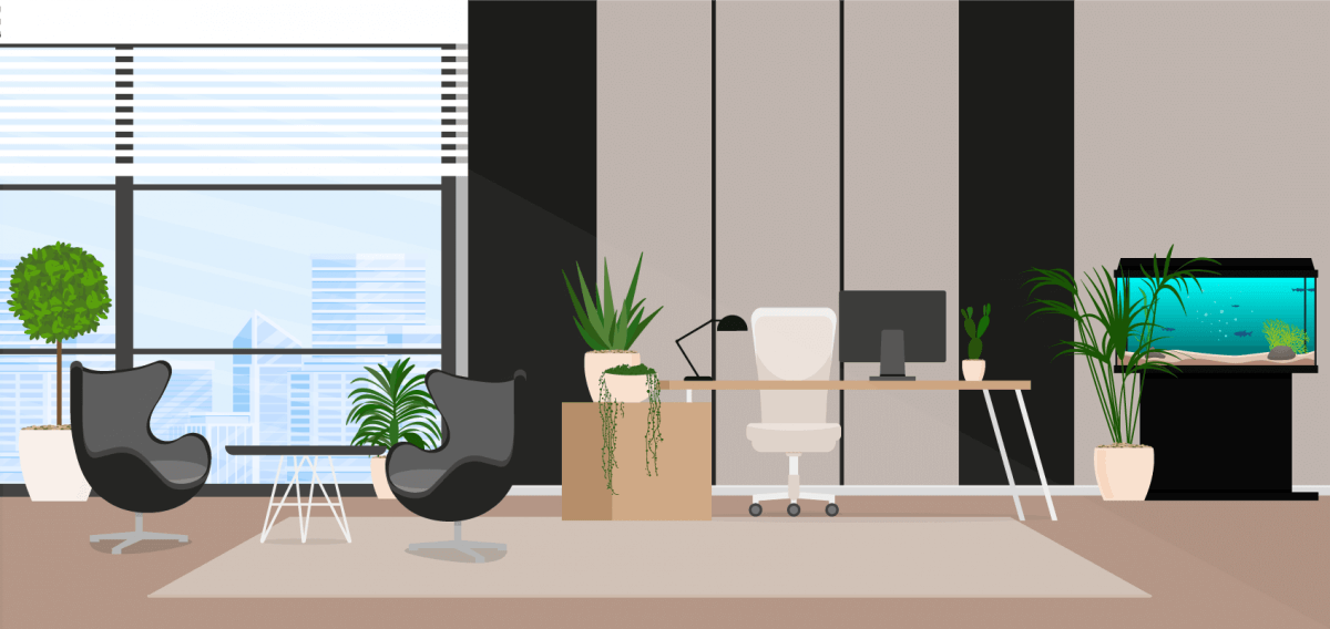 Plants in an office space